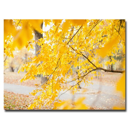 Trademark Fine Art Ariane Moshayedi 'Umbrella' Canvas Art, 22x32 AM0108-C2232GG